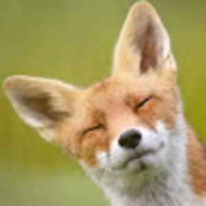 Meet your Posher, Bishop